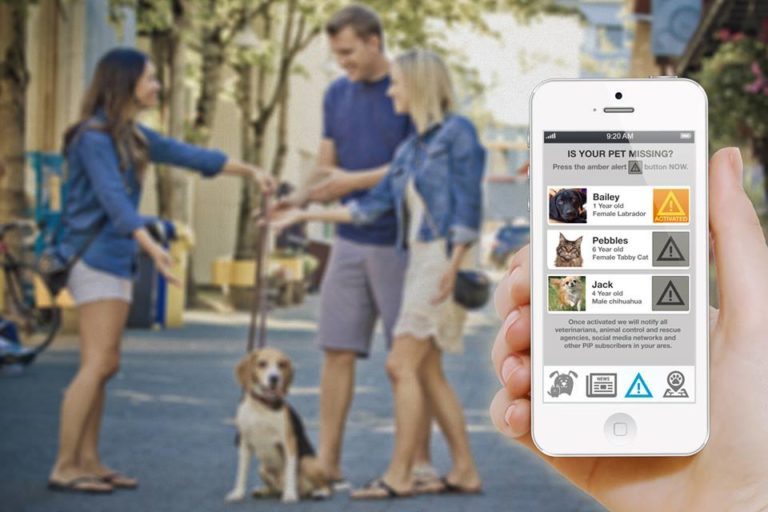 Een hand houdt een smartphone met het PiP-scherm “Is your pet missing?” en een lijst huisdieren met alarmknoppen; op de achtergrond staan drie mensen met een beagle aan de lijn op straat.