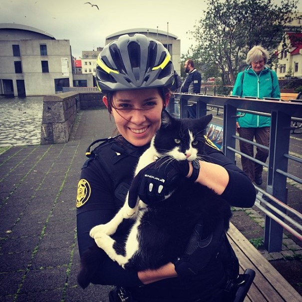 Een lachende agente met fietshelm houdt een zwart-witte kat in haar armen aan het water in Reykjavik, met een voorbijganger op de achtergrond.