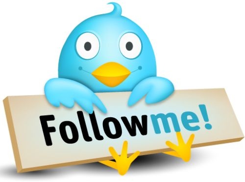 Getekend lichtblauw vogeltje in de stijl van Twitter dat een houten bord vasthoudt met de tekst “Follow me!”.
